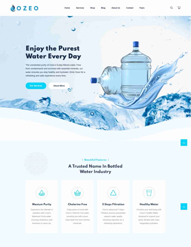 website design for miniral water